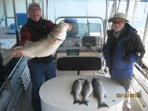 Nice Striped Bass